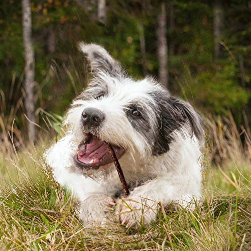 Cadet Gourmet Premium Quality Rawhide Beef Munchy Sticks for Dogs, 150-Pack - Thumbnail 5