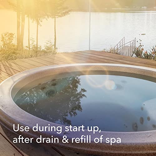 Leisure Time D Metal Gon for Spas and Hot Tubs, Powerful Water Treatment Solution, 16 Ounce