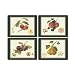 Pimpernel 2010640329 Placemats, Multicolor
