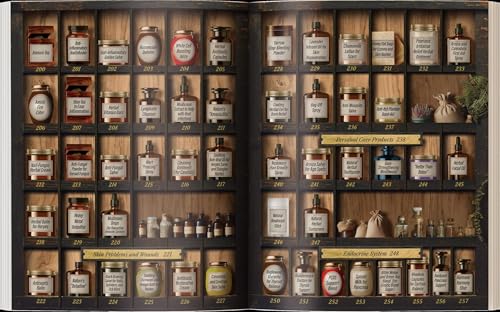 Forgotten Home Apothecary : 250 Powerful Remedies at Your Fingertips - Image 3