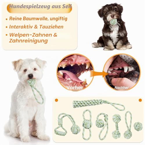 Ousiya 24-Stück Welpenspielzeug-Set, Welpenspielzeug zum Zahnen mit Aufbewahrungsbox, Hundespielzeug und quietschendes Hundespielzeug, Kauspielzeug für kleine und mittelgroße Hunde, zum Spielen
