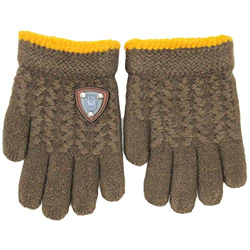 [p_t@~[]  LbY X|[c jbg ̂т̂ 3-6 c j̎q {[CY ʉ ʊw ] 5{w N Gu uE