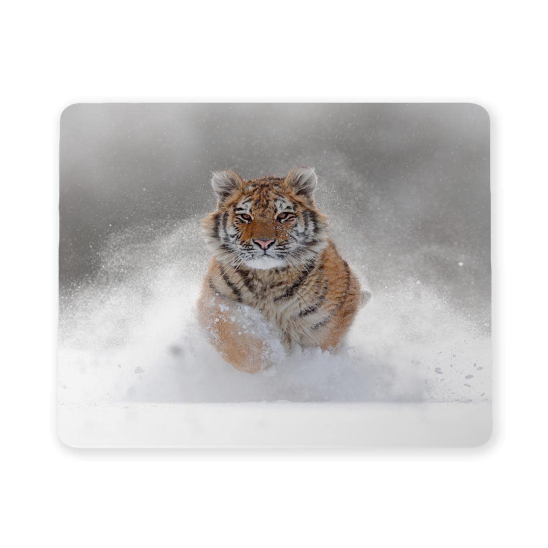 100Yellow® Designer Animal Mousepad | Non-Slip Waterproof Gaming Pad - 0984 (B07BJ85HBG) Amazon Price History, Amazon Price Tracker