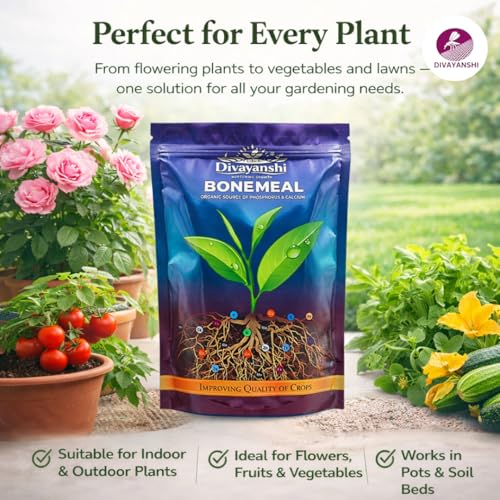 Image of Divayanshi Bone Meal Fertilizer for Plants | Organic Powder for Strong Root Growth & Flowering | Rich in Phosphorus & Calcium | Ideal for Garden, Pots & Lawns (All Plants Use)- 20kg
