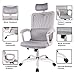 SMUGDESK, Mesh, Ergonomic Office Desk Computer Task Chair, Gray