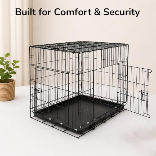 Image of PETJOY Foldable Metal Wire Dog Cage /Crate /Carrier with Tray | for Large and XL Adult Dogs | 42 Inch | Black | Single Door | Removable Base | Manual Locking Mechanism