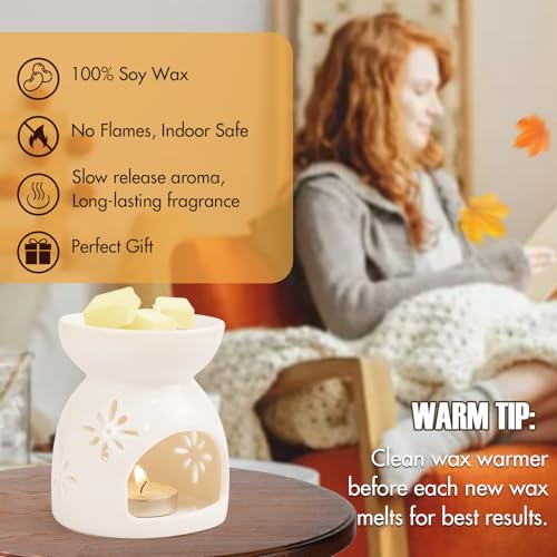Image of SCENTORINI Wax Melts, Fall Scented Wax Cubess for Wax Warmer, 8 Pack*2.5 oz