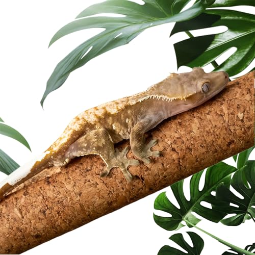 Repticircle Cork Branch for Reptiles – 11.8
