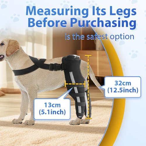 Image of Double Dog Knee Brace for Torn Acl Hind Leg, Double Dog Leg Braces for Back Leg for Support,Acl Brace for Dogs, Built-In Hard Metal Spring Support,Outer Night Reflective Strip,Adjustable Strap (Small)