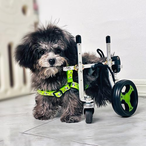 Hunderollstuhl,ZweiräDrige RollstüHle,Verstellbarer Rollstuhl FüR Kleine Haustiere Mit Hinterbeinen,Rehabilitation Der Beine Bei Alterung,Verletzung,Arthritis,Schwacher Hund/Katze/Haustier(XS,Two whee