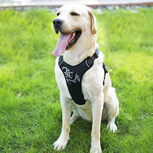 iBuddy Dog Harness No Pull Vest Harnesses for Medium and Large Dogs with Handle and Front/Back Leash Attachments, Easy On and Off Reflective Adjustable Pet Harness Non Choke for Walking and Training