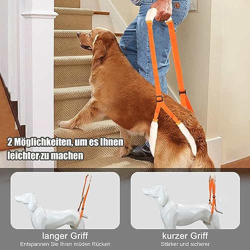 Lollanda Gehhilfe für Hunde Hinten, Tragehilfe für Hunde, Hundegeschirr für Die Hinterbeine, Gehhilfe Hunde zum Unterstützung für Kranke Hund, Älterer Hund, Fördert die Mobilität des Hundes (Orange)