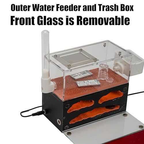 Rimsunta Ameisenfarm für lebende Ameisen - für kleine Ameisen-Klonie - Natürliches Lernspielzeug - Tolles Geschenk