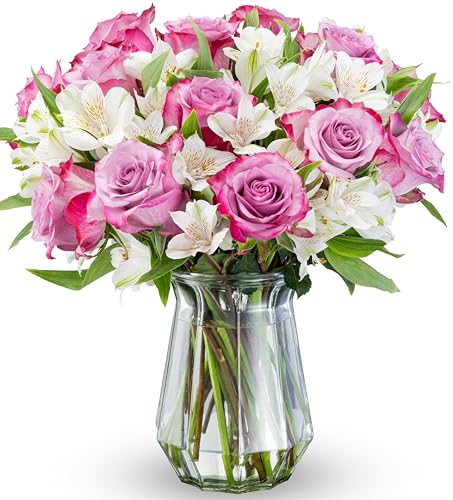 Benchmark Bouquets - Delightful Roses & Alstroemeria (Glass Vase Included)