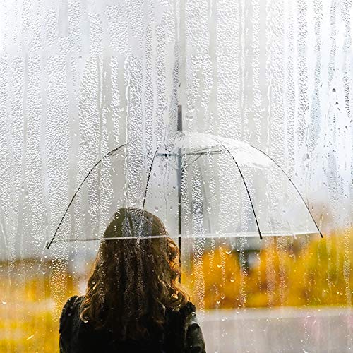 R.HORSE 6 Pcs 46 Inch Clear Bubble Umbrella J Handle Automatic Open Umbrellas Large Transparent Windproof Waterproof… - Image 6