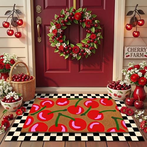 Drydiet 2 Pcs Cherry Coir Doormats Welcome Outdoor Summer