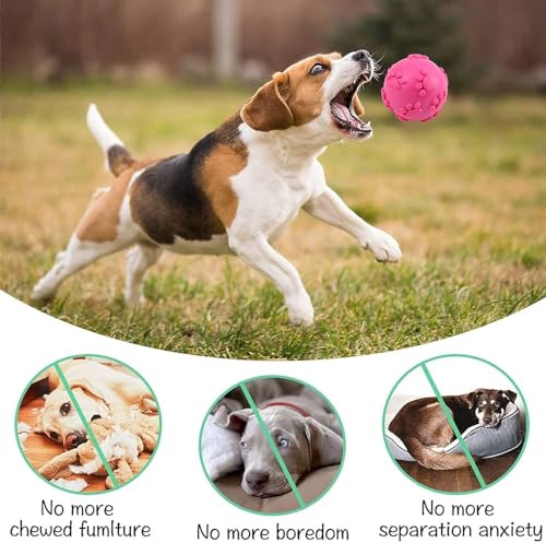 Image of Tail Dog Toys + Dog Chew Toys + Puppy Teething Toys + Rope Dog Toy + Dog Toys for Small to Medium Dog Toys + Dog Toy Pack + Tug Toy + Dog Toy Set + Washable Cotton Rope for Dogs (PACK OF 15PCS)