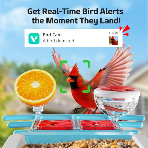 image for GAOYITK Bird Feeder with Camera 2K HD AI Smart Identify BirdSpecies So