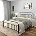 Golden Gate Beds Victorian Vintage Style Metal Bed Frame with Wrought Iron Headboard and Footboard, Classic Platform Bedframe Storage, No Box Spring Needed, Mattress Foundation, Black, California King