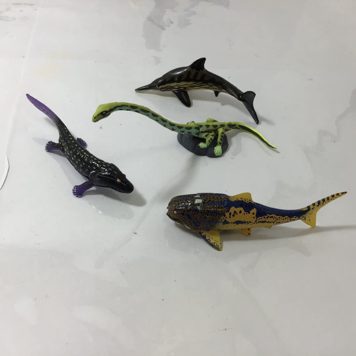 Amazon | 開封品 チョコラザウルス 恐竜 古代生物フィギュア 