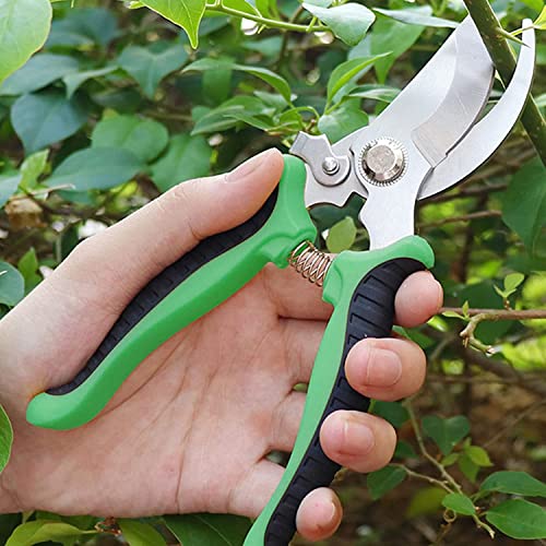 Trimmers Secateurs Hand, Professionele Secateurs, Sharp Bypass Tree Trimmers for Branches Flowers Fruit Planten Bonsai… - Afbeelding 6
