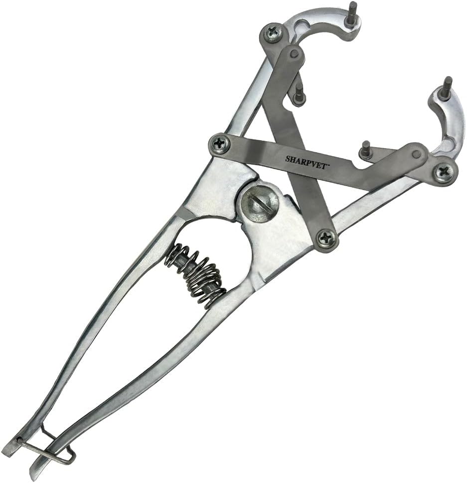 BOCCS Livestock Banding Kit with 200 Green Latex Bands, Nitrile Gloves, Wipes, and Bandage Scissors; for Goats, Sheep and Calves, Aluminum Base, 10 Inches in Length.