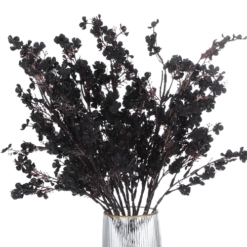 PATIKIL lH̉ԁA6̃[bp̋ỦDIYu[PỦԁAƒpK[fLb`fR[VEFfBOp[eB[fR[V