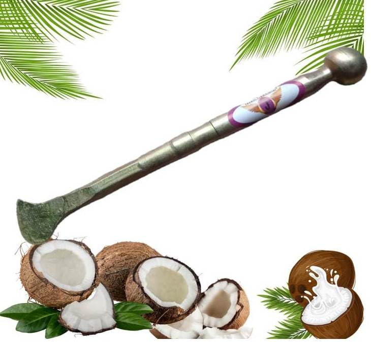 Jayam Traditional Strong Iron Rods Coconut Slicer | Breaker | Opener | Cutter | Peeler | Cracker | Chopper (B0DGDGXDNC) Amazon Price History, Amazon Price Tracker