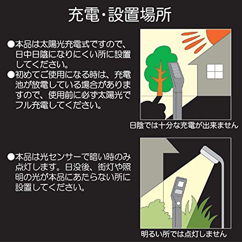 即購入可能　高レア　猩々童子　ライドラインセット 51WRnXoJDVL.jpg