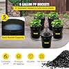 VEVOR DWC Hydroponic System, 5 Gallon 5 Buckets, Deep Water Culture Growing Bucket, Hydroponics Grow Kit with Pump, Air Stone and Connected Reservoir, for Indoor/Outdoor Leafy Vegetables #2