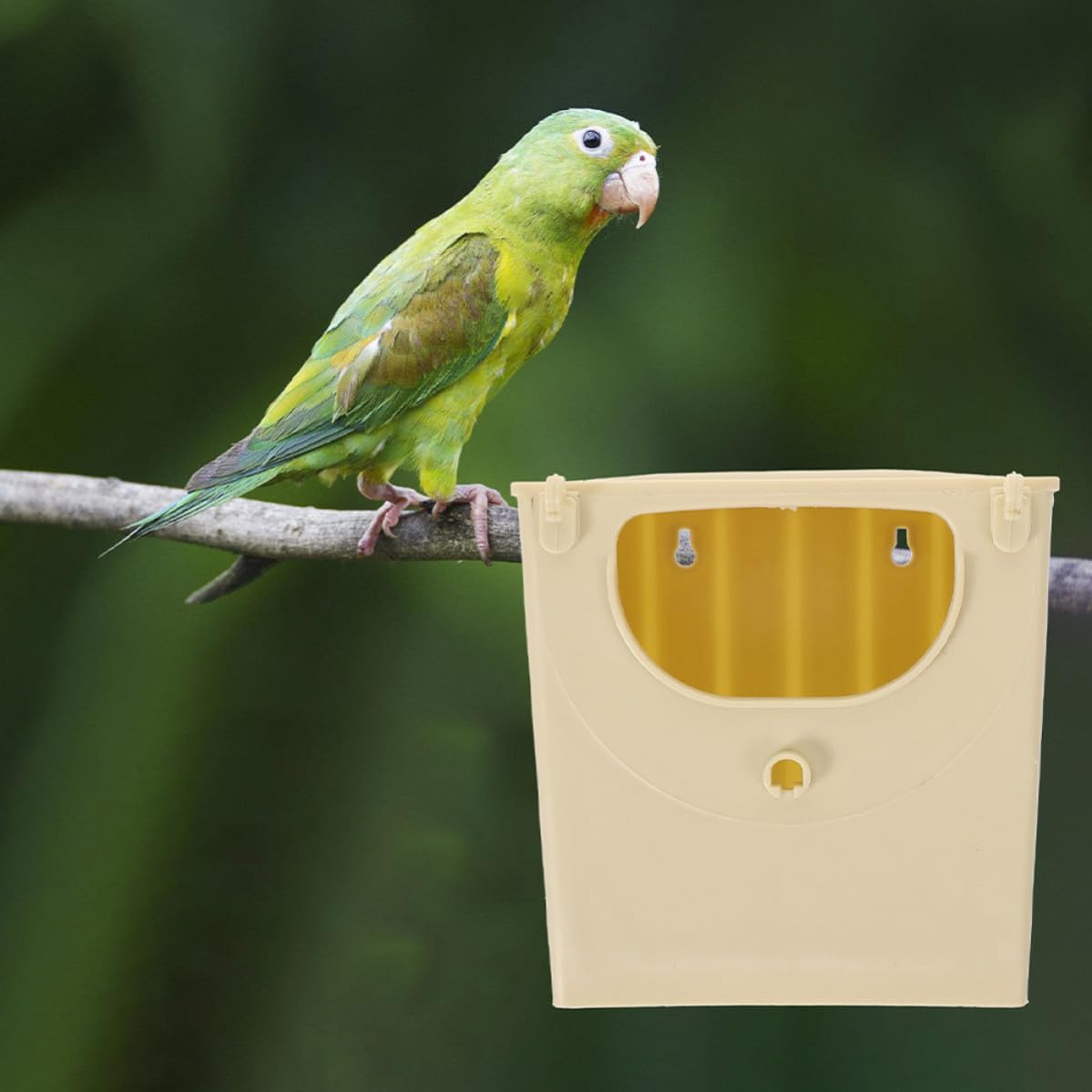 ifundom Scatole per Nido in Plastico 5 Pezzi per Uccelli Pappagalli e Cocorite, Leggere e Stabili, per Allevamento e Riproduzione
