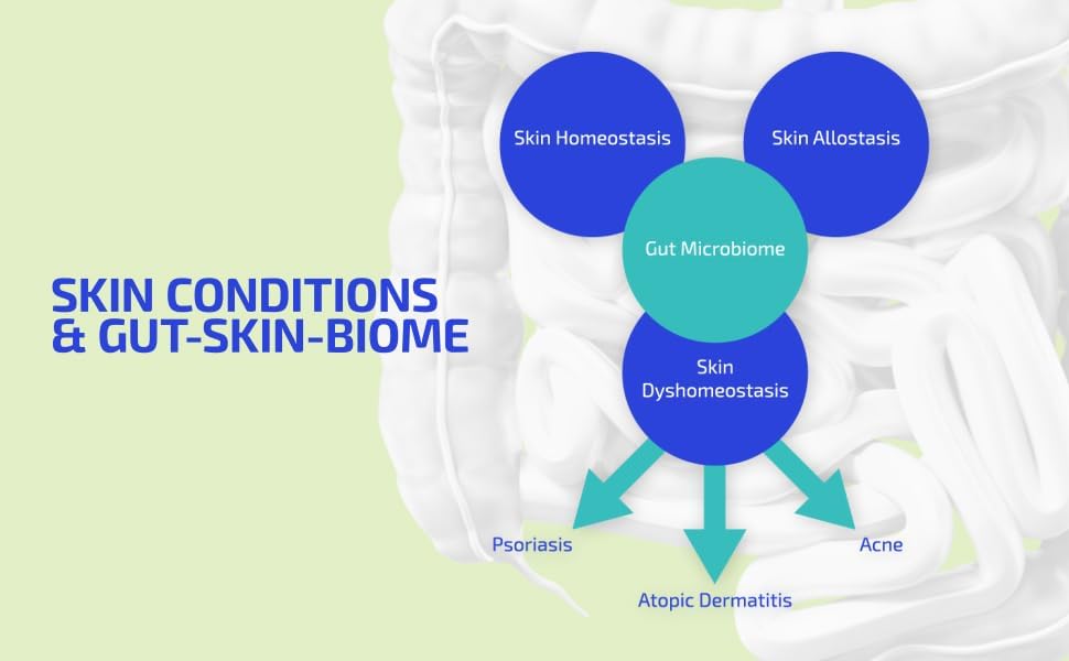 Miniatura 6 de Prebióticos para la salud digestiva y el apoyo del sistema inmunológico fibras dietéticas, antioxidantes y superalimentos para la fuerza de la