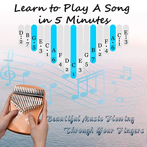 Raraplur Kalimba 17 Clés Pouce Piano Instrument de Musique Enfant et Adulte, Portable Doigt Pouce Piano Haute Qualité… - Les Beatles, Paul McCartney, John Lennon, RIngo Starr, George Harrison Raraplur Kalimba 17 Clés Pouce Piano Instrument de Musique Enfant et Adulte, Portable Doigt Pouce Piano Haute Qualité… – Image 7