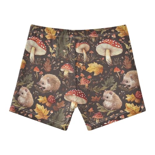 Fall Mushrooms Hedgehogs Cute Colored Cats Boys Swim Trunks Swimsuits for Toddler Boy Swim Shorts Trunks 3T-10T2