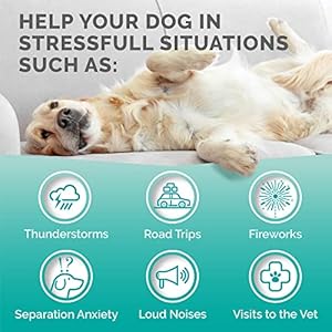 Premium care hemp calming chews for dogs anxiety  made in usa calming dog treats dog calming chews  anxiety relief treats dog barking deterrent anxiety relief for dogs 60 duck flavored chews   cucciolini doodles