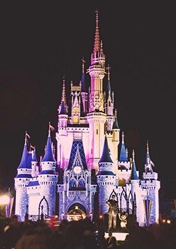 1996年／WDW購入 25周年 限定！♥ディズニー 巨大 ポスター