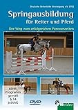 pferd tritt reiterin tot  Springausbildung für Reiter und Pferd - Der Weg zum erfolgreichen Parcoursreiten