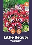 AGRONOM Tested in the garden