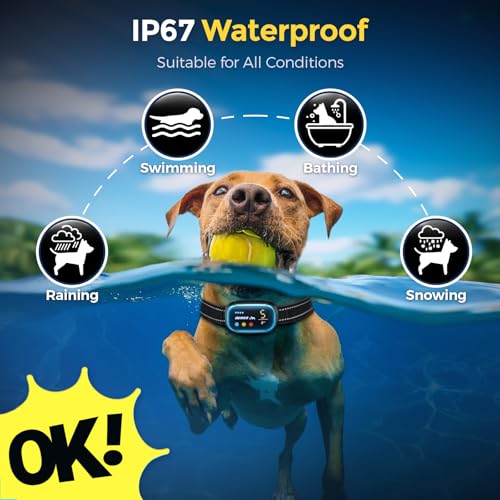 Dog-Bark-Collar-2-Pack-Rechargeable-Smart-Bark-Collar-for-Large-Medium-Small-Dogs-10-150lbs-with-Barking-Count-Record-Anti-Barking-Training-Collar-with-5-Adjustable-Sensitivity-Beep-Vibration-Shock