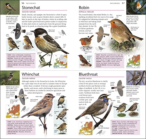 RSPB Pocket Birds of Britain and Europe 5th Edition - Image 5