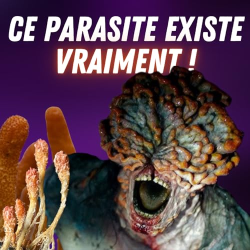Page de couverture de Cordyceps : le champignon bien réel qui a inspiré The Last of Us 🧟