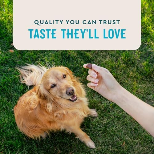 VetIQ Advanced Hip & Joint Chews For Dogs, 60 Count, Chicken Flavored Supplements Made with Glucosamine, Omega 3’s, Chondroitin, MSM & Green Lipped Mussel, Increases Mobility & Maintains Muscles - 4
