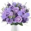 Purple Roses