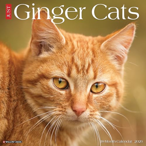 Ginger Cats 2026 Wall Calendar
