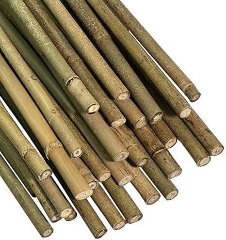 DADFirm Bamboo Canes for Gardens/Plant Support, Eco-Friendly Garden Stakes, Plant Stakes Supports Climbing for Indoor & Outdoor Plants (2 FT, 20nos) (B0C6H8NF21) Amazon Price History, Amazon Price Tracker