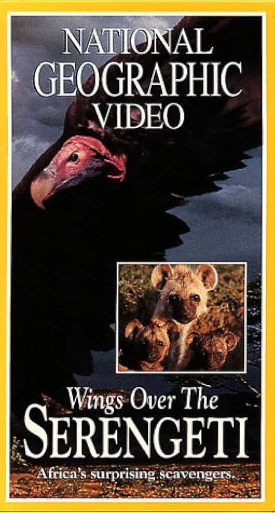 その他 Nat'l Geo: Wings Over the Serengeti [VHS] Amazon.com: National Geographic's Wings Over the Serengeti