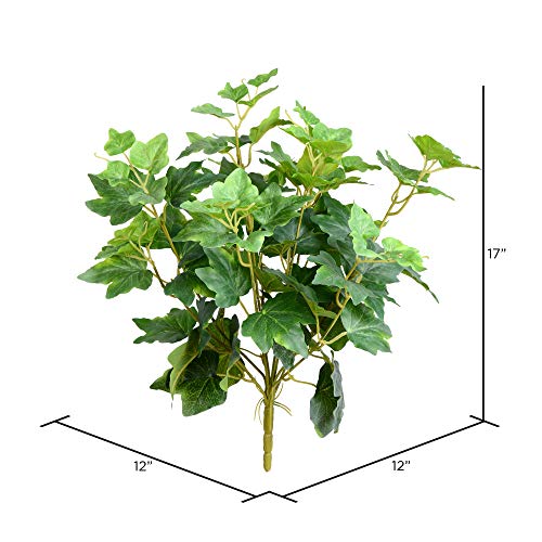 Vickerman Everyday 17