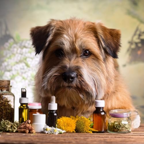 Haut-Harmonie Drops Hund – Natürliche Bachblüten-Leckerlis für Sensible Hunde | Unterstützt Gelassenheit bei Umweltreizen & Nervosität | Hohe Akzeptanz | Premiumqualität Made in Germany | 92 g