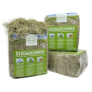 HEULAND Bergwiesenheu 4 x 4 Kg Heu