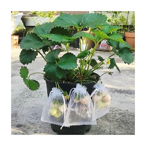 Lot De 100 Sacs De Protection Pour Fruits FACULX - Filet Anti-oiseaux 18x20cm - Réutilisable Pour Jardin Et Verger